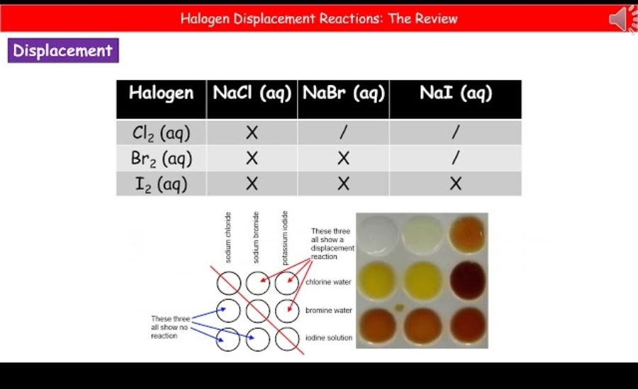 Potential Interactions between Halogens and Plasma