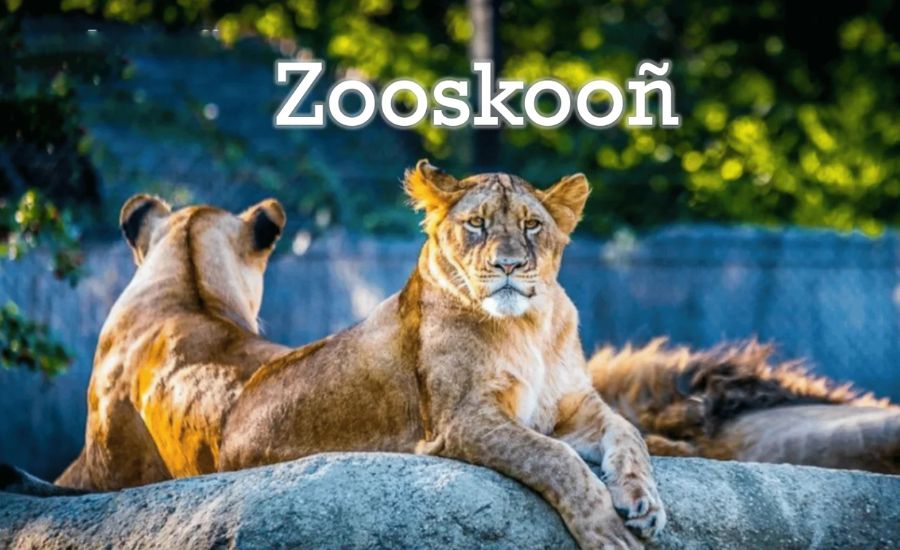 Zooskooñ