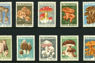 Marfusha Romania Stamp