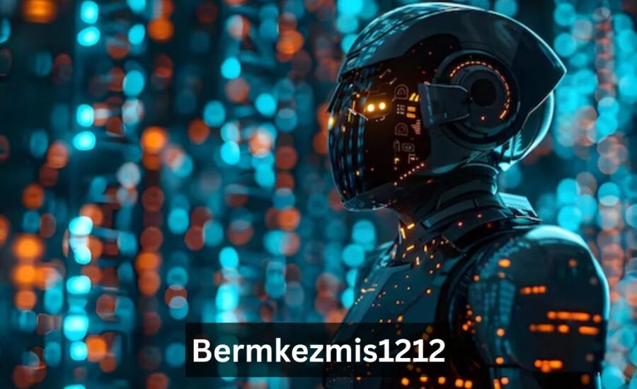 Theories About Bermkezmis1212